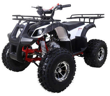 Tao Motor NEW T-Force 125cc Utility ATV — Automatic Mid-Size Family Quad mississippipowersports